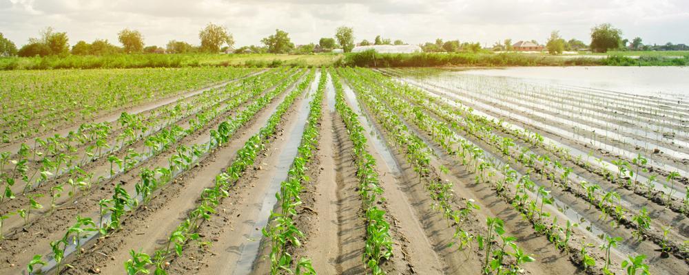 Ohio crop insurance lawyer